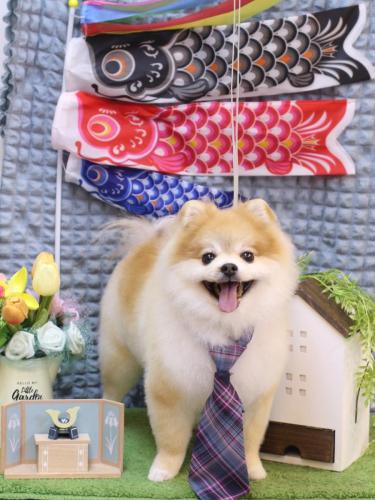 20230520モコくん